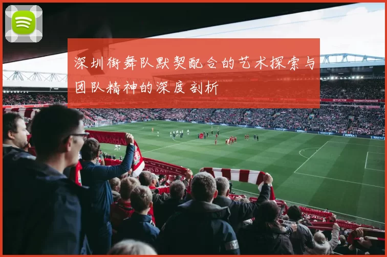 深圳街舞队默契配合的艺术探索与团队精神的深度剖析