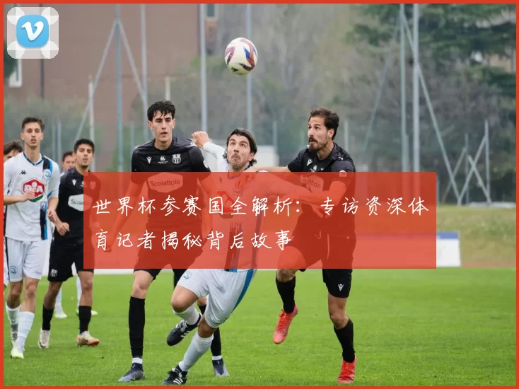 世界杯参赛国全解析:专访资深体育记者揭秘背后故事