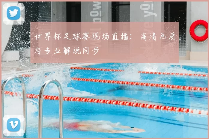 世界杯足球赛现场直播：高清画质与专业解说同步