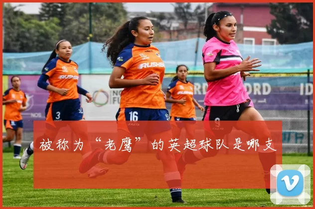 被称为“老鹰”的英超球队是哪支