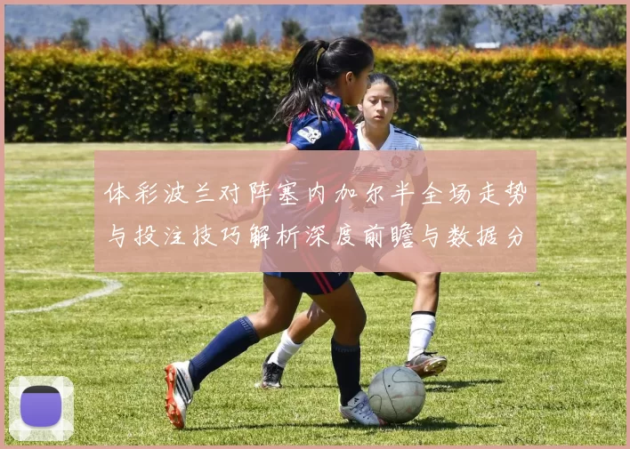 体彩波兰对阵塞内加尔半全场走势与投注技巧解析深度前瞻与数据分析