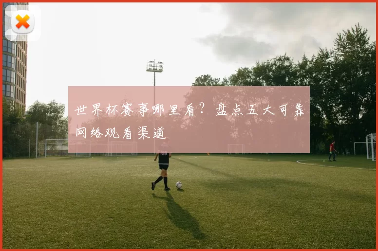 世界杯赛事哪里看?盘点五大可靠网络观看渠道