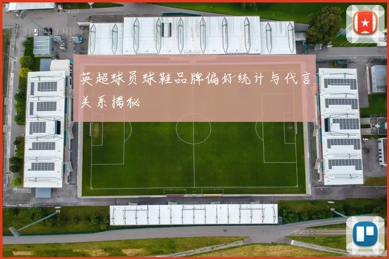 英超球员球鞋品牌偏好统计与代言关系揭秘