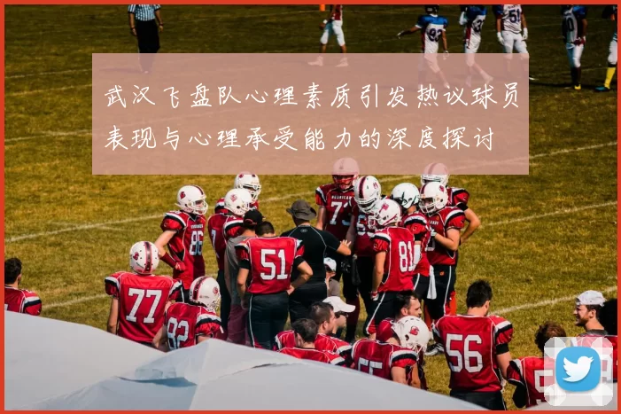 武汉飞盘队心理素质引发热议球员表现与心理承受能力的深度探讨