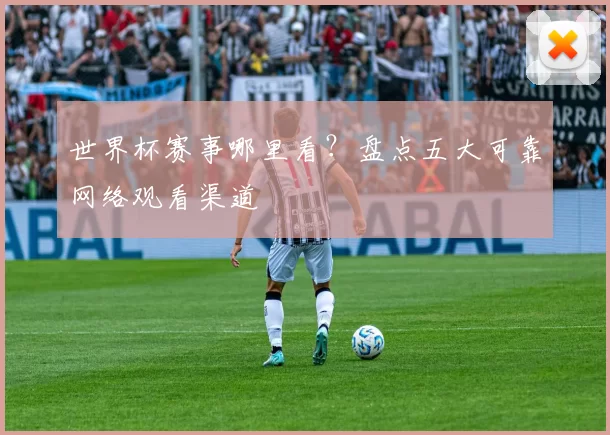 世界杯赛事哪里看?盘点五大可靠网络观看渠道