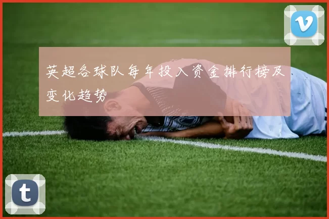 英超各球队每年投入资金排行榜及变化趋势