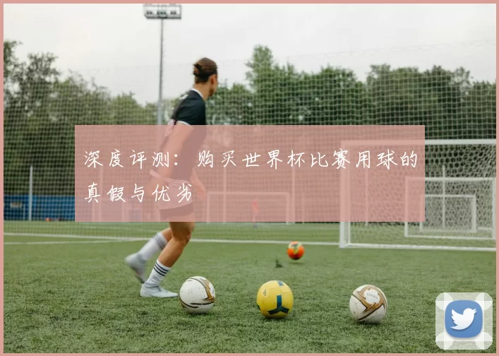 深度评测:购买世界杯比赛用球的真假与优劣
