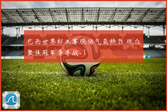 巴西世界杯决赛现场气氛热烈 观众聚焦冠军争夺战_1