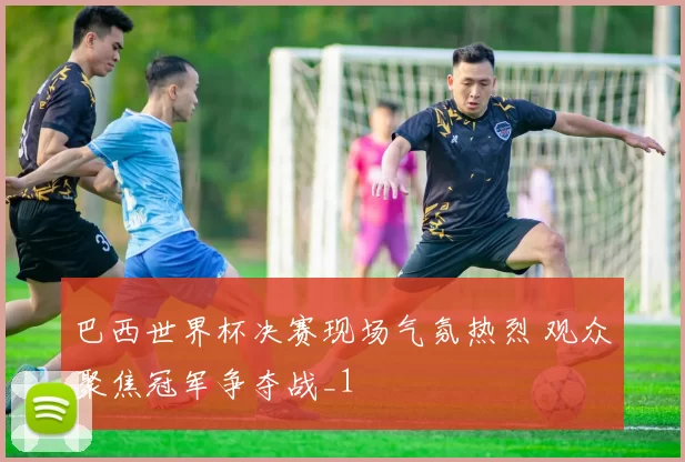 巴西世界杯决赛现场气氛热烈 观众聚焦冠军争夺战_1