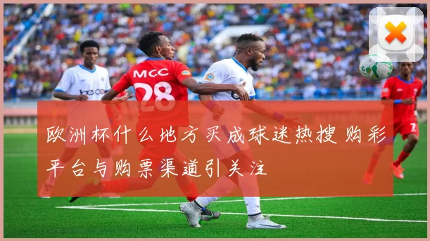 欧洲杯什么地方买成球迷热搜 购彩平台与购票渠道引关注
